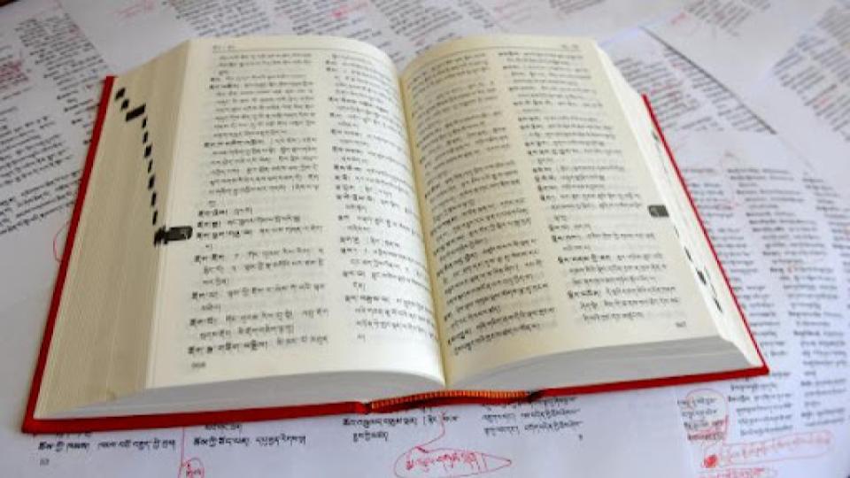 ཚིག་མཛོད་སྒྲིག་སྟེགས་བཀོལ་ཚུལ། DAB